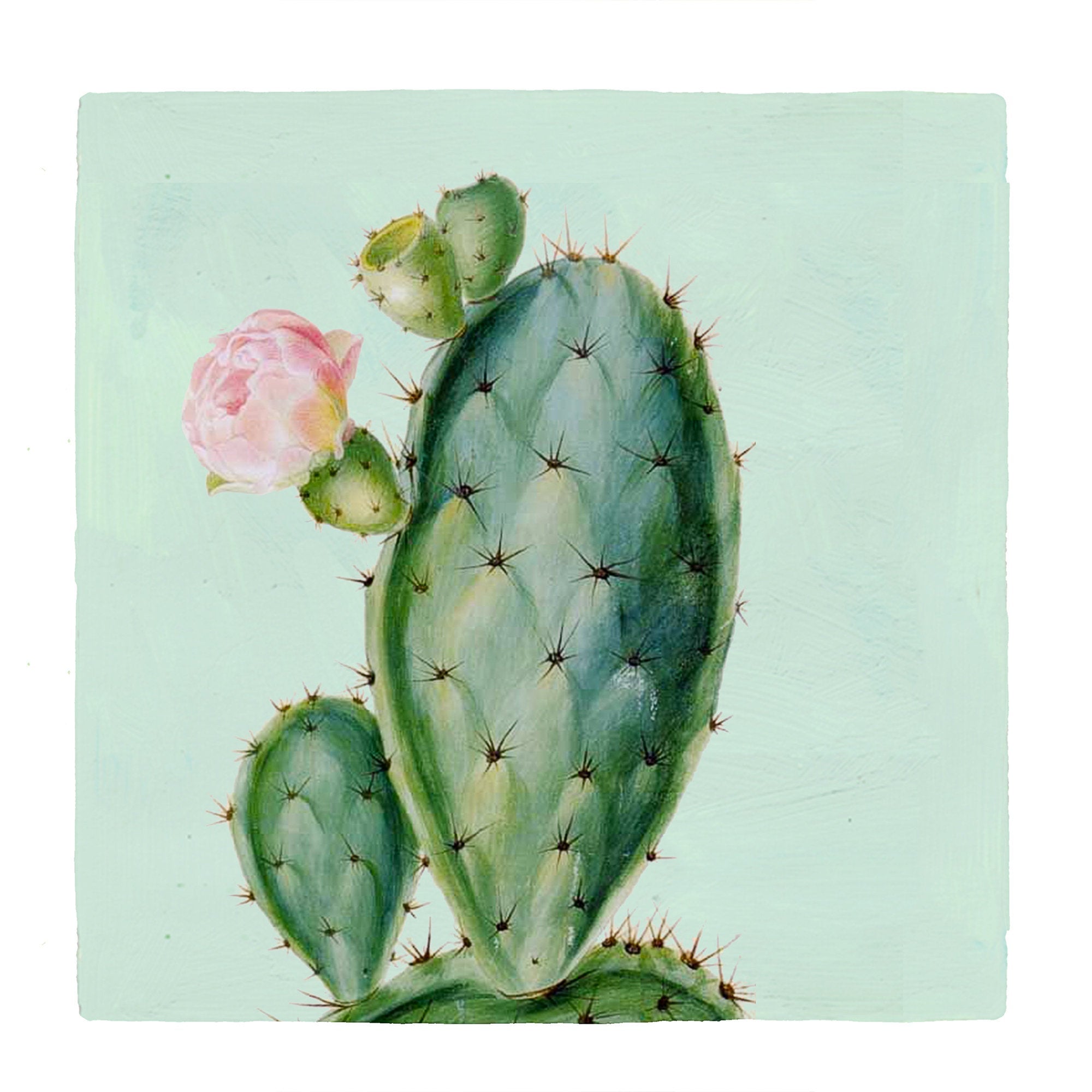 Cactus painting original, cactus painting, 100% handmade botanical oil painting square home decor wall art