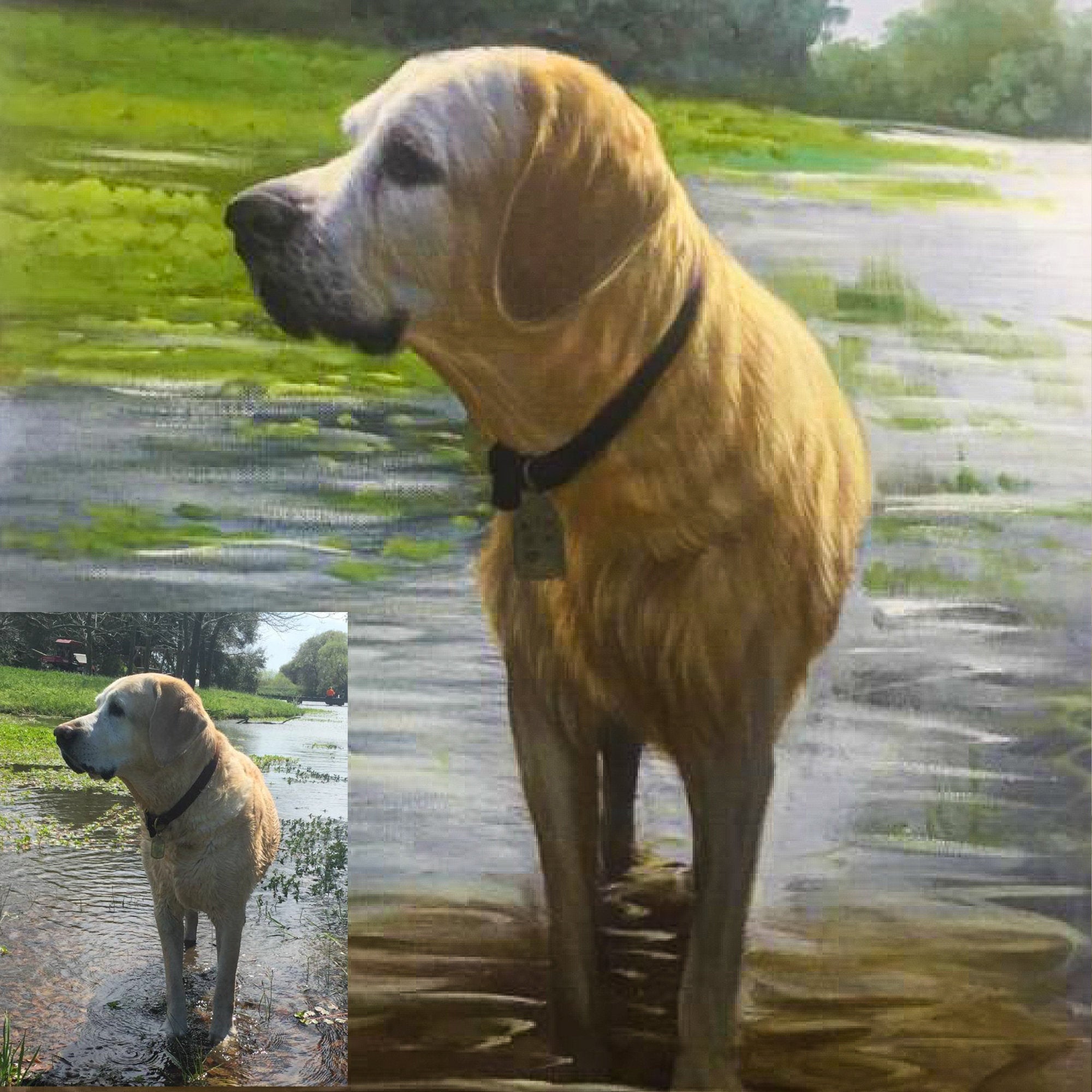 Artist painting of your pet | Custom house portrait | Small pet painting on a canvas |  Pet painting from photo